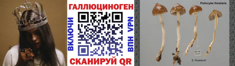 купить   Анадырь  Псилоцибиновые грибы мухоморы 
